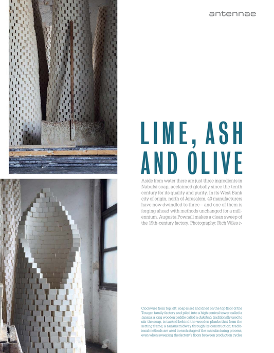 Lime, Ash, and Olive: A portrait of the soapmaker's process