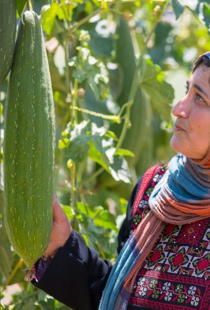 Palestinian Loofah Mitt